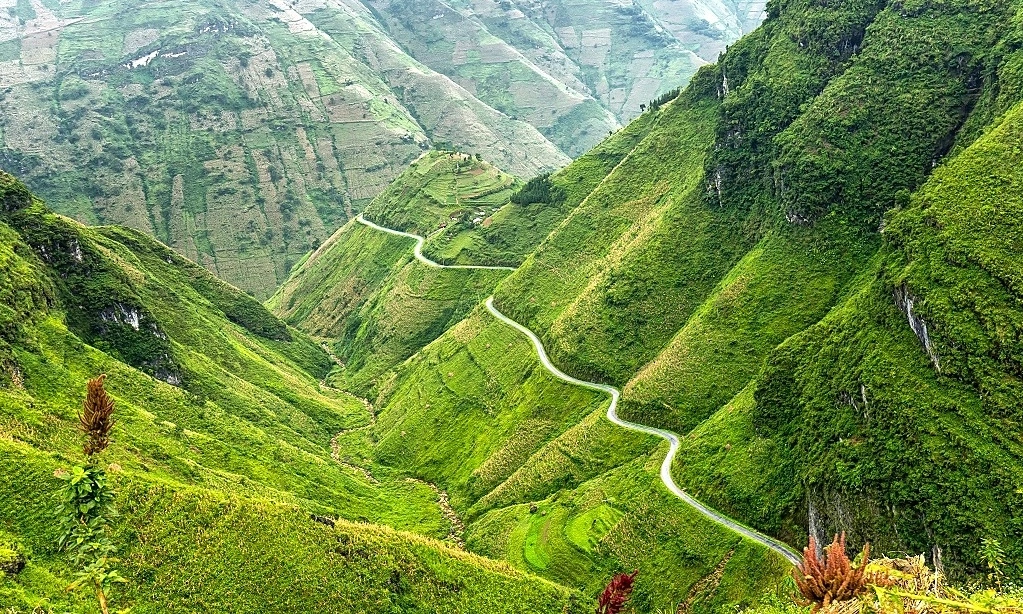 Borderline Colors Meo Vac - Lung Phin