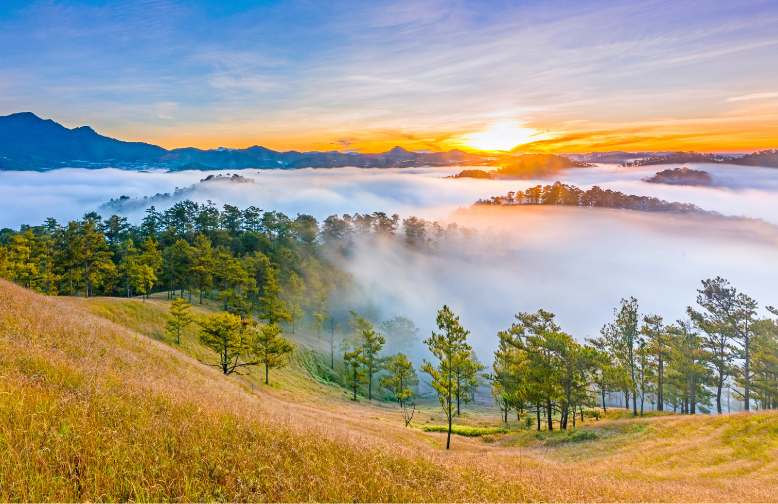 Da Lat (Lam Dong) – The Dreamy City of Eternal Spring