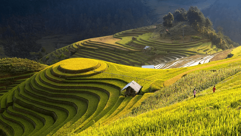 Nam Cang Village – Radiant Beauty of the Frontier
