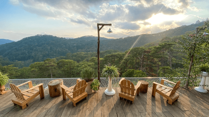 Wooden Homestays Hidden in the Pine Forest